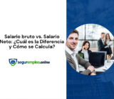 Salario bruto vs. Salario Neto: ¿Cuál es la Diferencia y Cómo se Calcula?