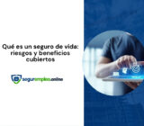Qué es un seguro de vida: riesgos y beneficios cubiertos
