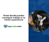 Áreas donde puedes conseguir trabajo si no tienes experiencia