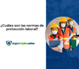 ¿Cuáles son las normas de protección laboral?