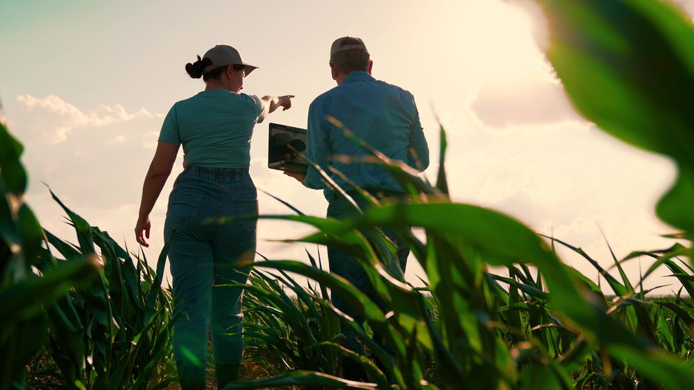 Salarios mínimos en el sector agrícola